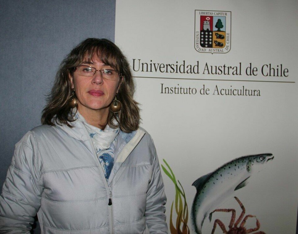 Investigadora Sandra Marín. Foto: UACh.