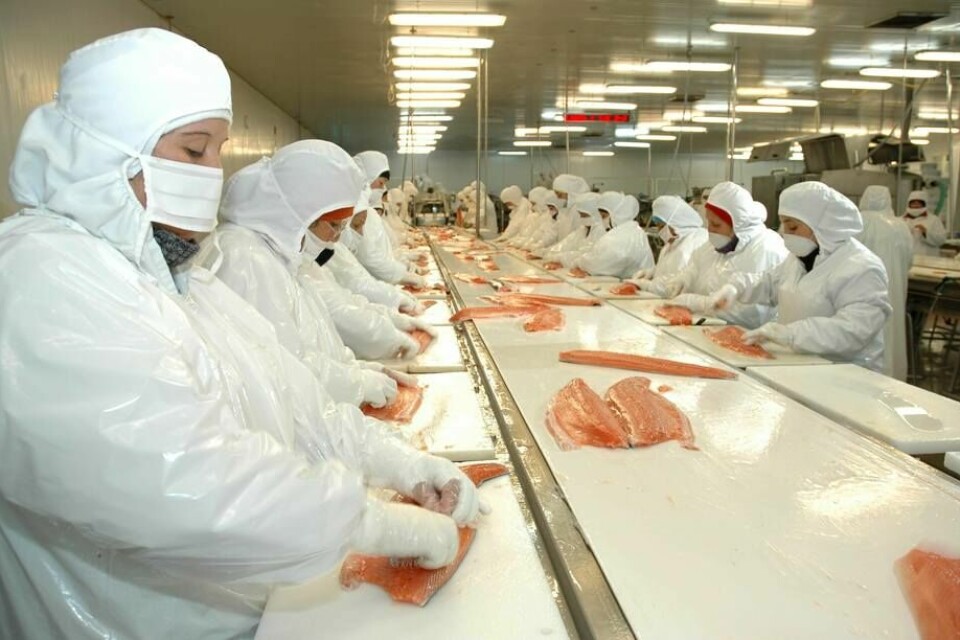 Apertura de mercados ha ido reactivando la demanda de productos del sector alimentos producidos en la región. Foto: Archivo Salmonexpert.