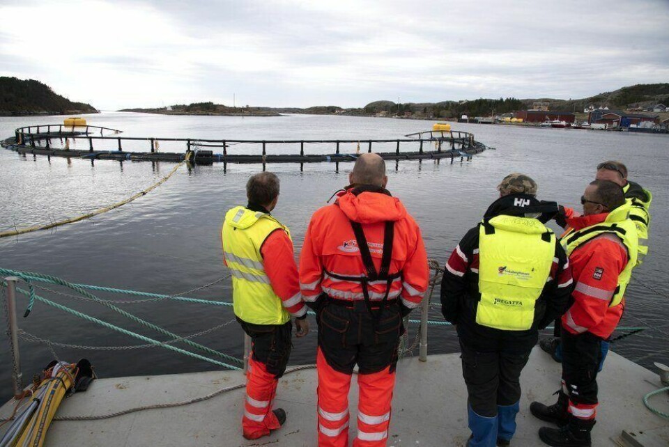 Parte del equipo en una de las pruebas del concepto de innovación “Atlantis”. Foto: Atlantis Subsea Farming.