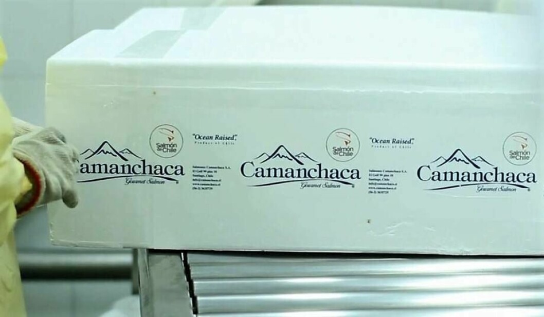 Salmones Camanchaca es la primera empresa en el país en implementar este mecanismo. Foto: Archivo Salmonexpert.