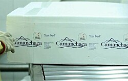Salmones Camanchaca implementa purificadores de aire para prevenir covid-19