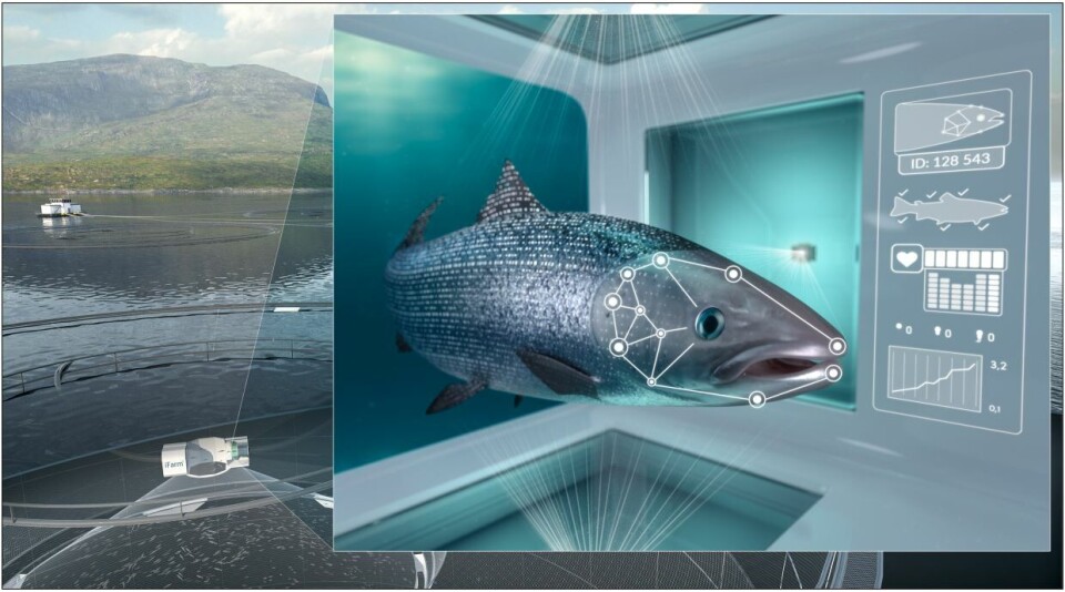 Cermaq no ganó con la apelación por su concepto iFarm. Foto: Cermaq