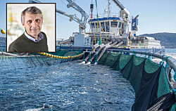 Sistema para eliminación mecánica de piojos busca mejorar bienestar de peces