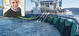 Sistema para eliminación mecánica de piojos busca mejorar bienestar de peces