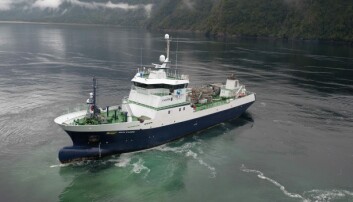 Solvtrans Chile demanda a Armasur y a seis empresas navieras