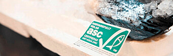 Los indicadores que introducirá ASC para garantizar bienestar de salmones