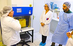 Laboratorio acuícola comenzará a apoyar diagnósticos de Covid-19 en Aysén